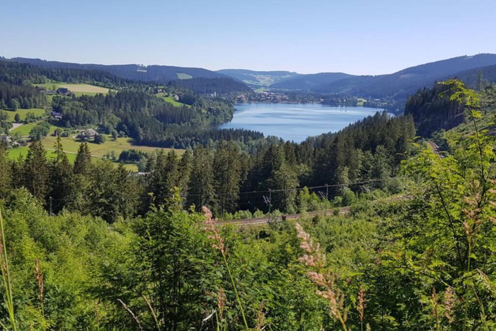 Black Forest Schwarzwaldblick Indoorpool Wifi Natur Komfort Hoechenschwand Ngoại thất bức ảnh