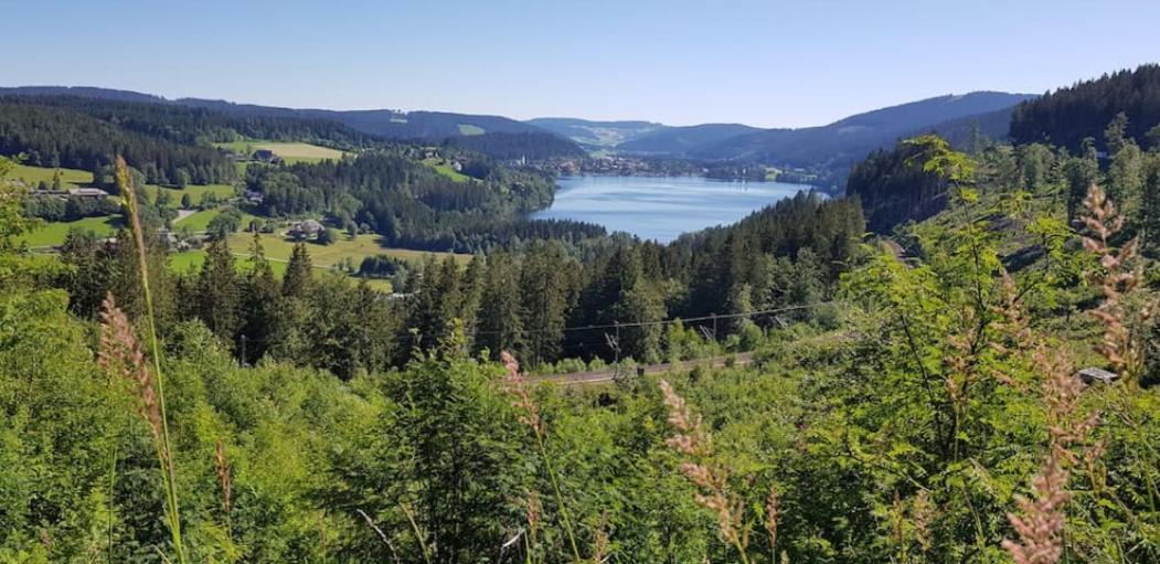 Black Forest Schwarzwaldblick Indoorpool Wifi Natur Komfort Hoechenschwand Ngoại thất bức ảnh